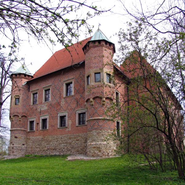 Zamek w Dębnie